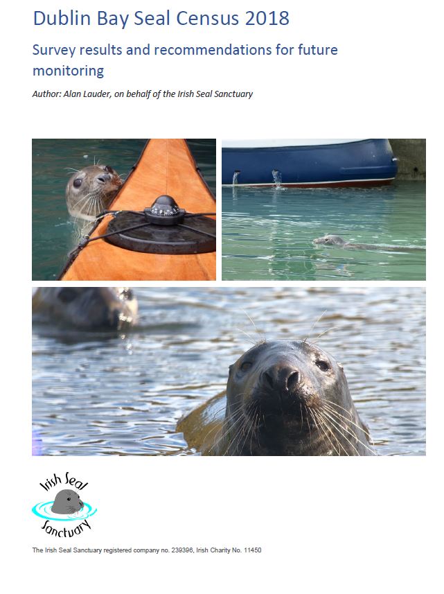 Dublin Bay Seal Census 2018
